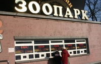 Киевский зоопарк проворовался на сотни миллионов
