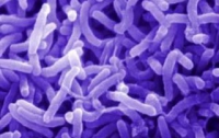 В Мариуполе зарегистрирован 20-ый случай заболевания холерой 