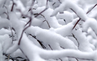 В Украине практически не осталось снега, - Гидрометцентр