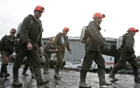 «ДТЭК Свердловантрацит» в рамках реструктуризации увеличит численность шахтеров