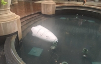 Робот-охранник покончил с собой, утопившись в фонтане