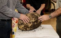 Огромный кусок доисторического масла найден в Ирландии