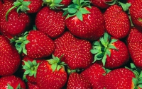 Клубника может быть не хуже солнцезащитного крема