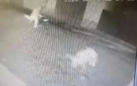 На Закарпатье 8 парней в медицинских масках ограбили магазин (видео)