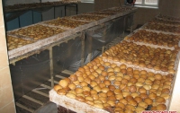 В Житомире разоблачили подпольного пекаря