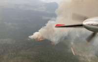 У Канаді вирують масштабні лісові пожежі: загинув пілот гелікоптера (фото)