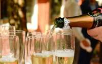 Нечего праздновать: в мире упало число продаж шампанского