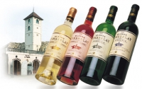 Виноделы бьют тревогу: французские вина теряют свой вкус и аромат 