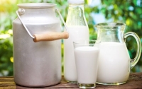 В Украине начали падать цены на молоко