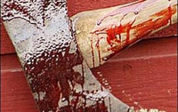В Житомирской области психически больной зарубил топором троих человек 