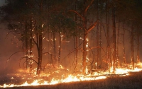 В этом году количество пожаров в Украине бьет рекорды