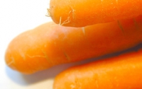 Вареная морковь может победить рак