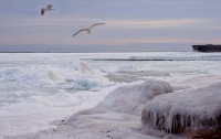 Холода заморозили Черное море