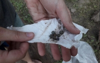 На Полтавщине археологи обнаружили детский некрополь