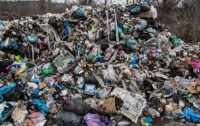 Более миллиона тонн мусора каждый год оставляют после себя киевляне