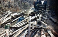 Под завалом досок в Житомирской области погиб ребенок