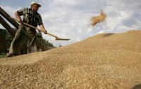 Минэкономики спешит распределить экспорт зерновых 