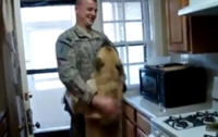 Девушка с собакой ярко встретили солдата, вернувшегося с войны (ВИДЕО)