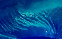 Астронавт опубликовал фото коралловых рифов из космоса