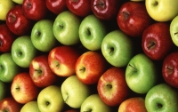 В стране наблюдается дефицит качественных яблок