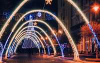 Стало известно в каких городах Украине самые дорогие и дешевые новогодние елки