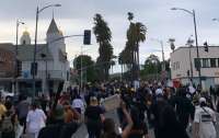 Ариана Гранде, Тимати Шаламе и другие артисты вышли на улицы во время беспорядков