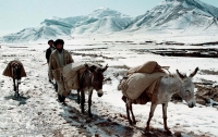 Число жертв афганского снега возросло до 54