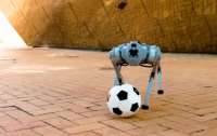 Вчені навчили робота-собаку DribbleBot грати в футбол (відео)
