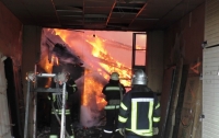 Под Киевом вспыхнул крупный пожар на складе древесины