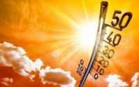Очередной тепловой рекорд был зафиксирован в Киеве