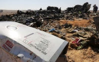 Египет и Россия скрывают данные о расследовании крушения A321