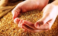 Россия призналась, что в этом году соберет меньше зерна, чем ей хотелось бы 