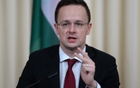 Венгрия призвала ООН расследовать реформы образования в Украине