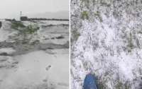 На высокогорье Карпат посреди лета выпал снег (видео)