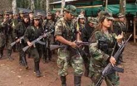 Колумбийские боевики взорвали две линии электропередач и деликатно извинились