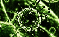 Люди – потомки вирусов