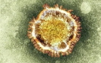 Ученые научились лечить коронавирус