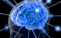 Ученые открыли способ лечения старческой забывчивости