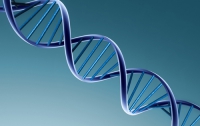 Гены политических убеждений «зашиты» в ДНК