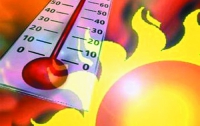 Метеорологи отметили 2012 год как один из самых  жарких