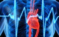 Учёные: Интернет поможет вылечить инфаркт