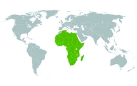 Африканский союз отметил свое 50-летие 