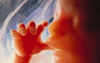 Британские ученые попросили разрешения модифицировать гены эмбрионов