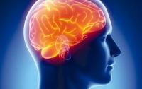 Новый метод остановит рост опухоли головного мозга