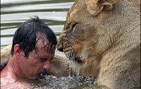 Дайвинг со львами (ФОТО)
