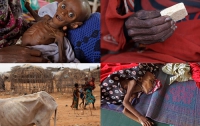 В Сомали помощь не доходит до голодающих