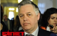 Опять хотят защитить гнилой режим, - Симоненко