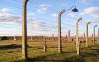 Что итальянский турист похитил из концлагеря Освенцим?