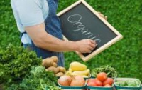 Органические продукты на украинском рынке составляют всего 0,4%