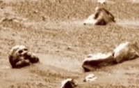 Уфолог рассказал об обнаружении на Марсе останков инопланетянина